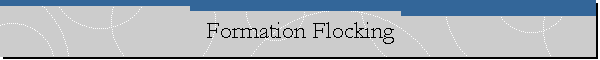 Formation Flocking